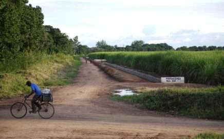 fietser langs suikerplantage Mazabuka, Klaartje Jaspers 2022