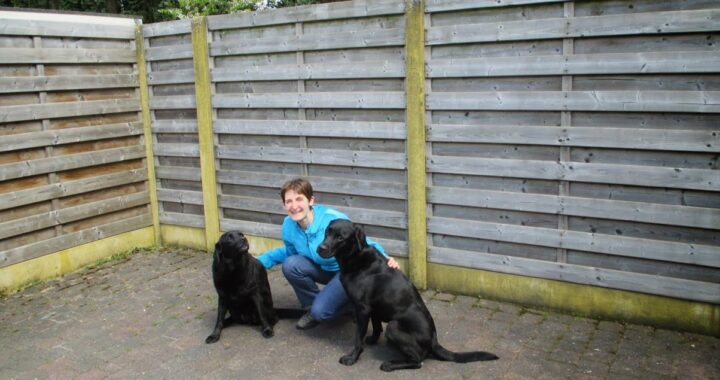 Ook een blindengeleidehond kan niet vertellen of het stoplicht op rood of groen staat. Foto toont Vlaamse Kim Bols met haar toenmalige honden. Ik interviewde haar in 2013