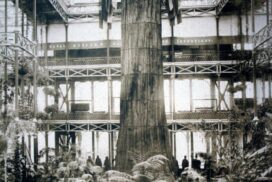 De 'moeder van het bos' op de tentoonstelling in het Crystal Palace, Londen, 1859. Dit is enkel de bast.