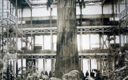 De 'moeder van het bos' op de tentoonstelling in het Crystal Palace, Londen, 1859. Dit is enkel de bast.