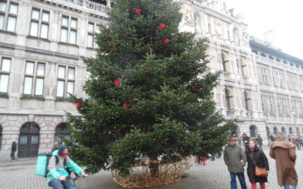 Kerstsfeer voor het Antwerpse stadhuis, december 2016, december 2016.