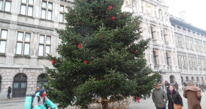 Kerstsfeer voor het Antwerpse stadhuis, december 2016, december 2016.